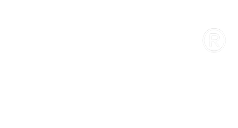 新词
